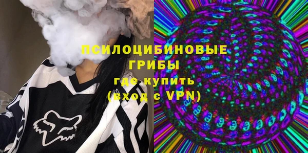 дурь Алексин