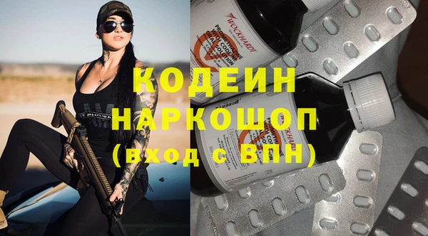 твердый Инсар