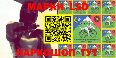 индика Ярославль