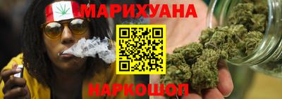 индика Ярославль