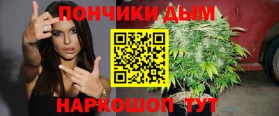индика Ярославль