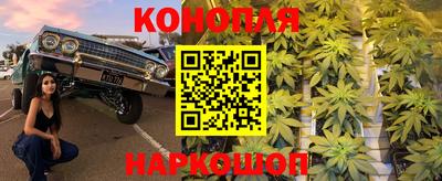 индика Ярославль