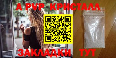 индика Ярославль