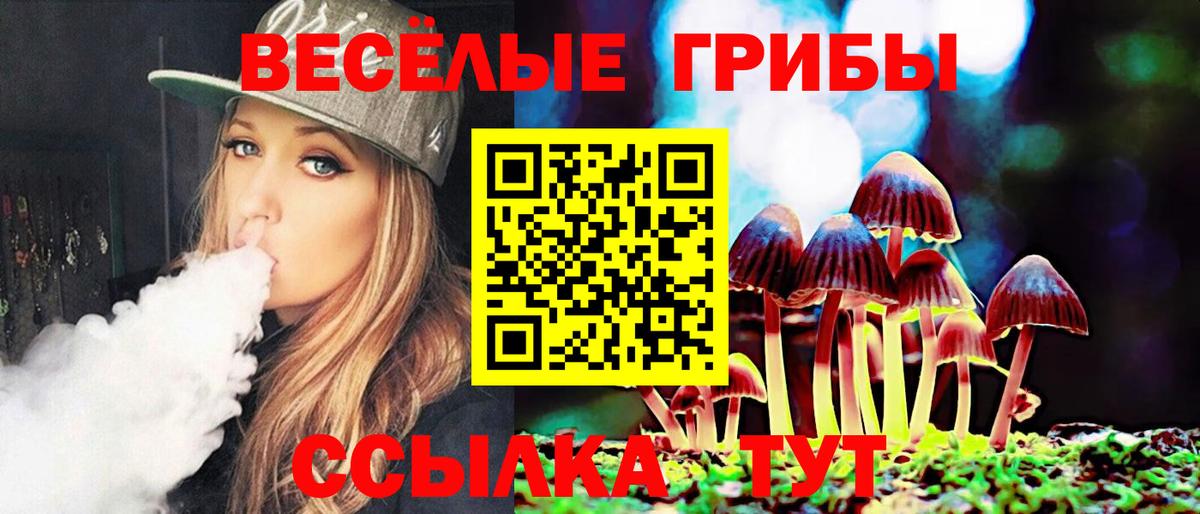 ГАШИШ Полевской