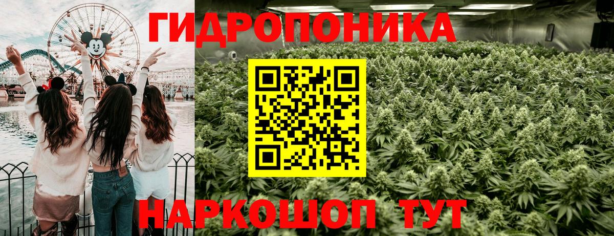 Каннабис планчик Полевской